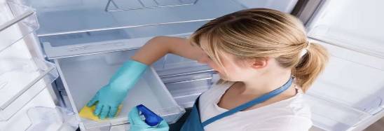 premium cleaning of a refrigerator